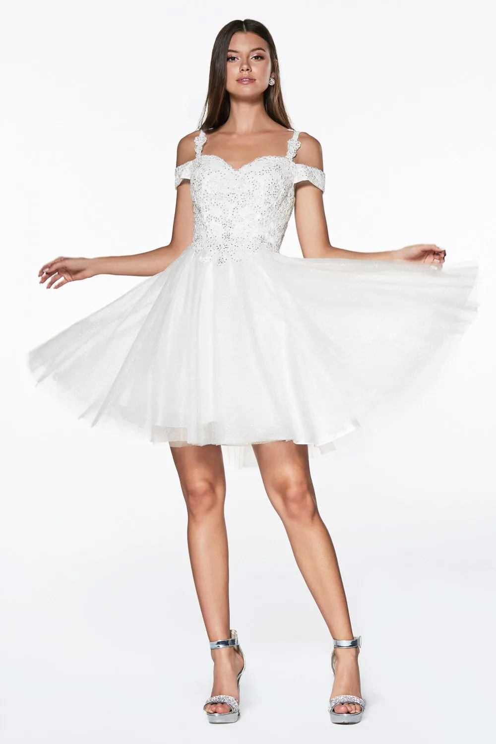 CD CD0132 - Short Off the Shoulder A-Line Homecoming Dress with Lace Detail Glitter Tulle Skirt & Lace Up Corset Back