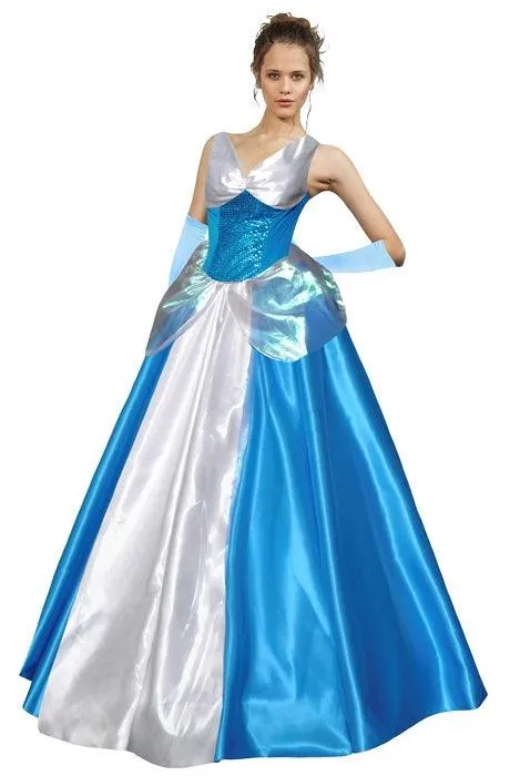 Cinderella Style Costume - Buy Online Only