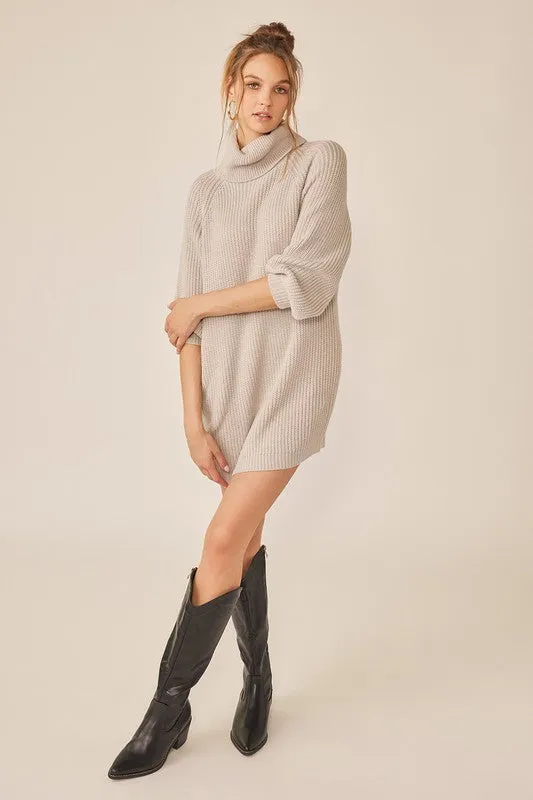 Ht.Grey Turtleneck Sweater Mini Dress