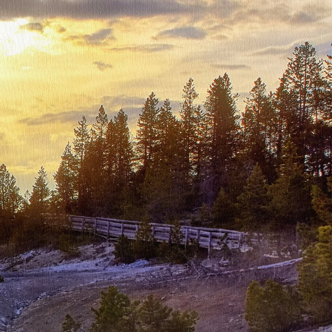 Sunrise at Yellowstone National Park on Canvas