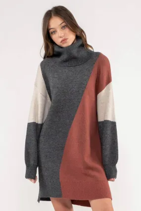 Turtleneck Knit Sweater Dress